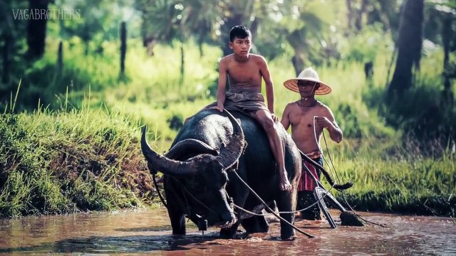 게임몽※∑※∑ Ｎａｖｅ８８。Ｃｏｍ ↖카툭ː ｃＯＭＥ９９ ∑※∑※ 롤게임