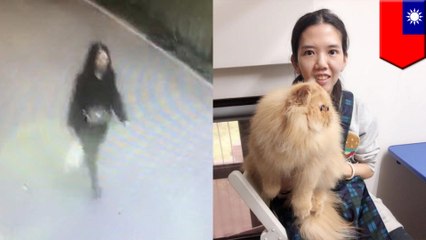 Cat burglar sneaks persians out of Taiwan pretending to be pregnant