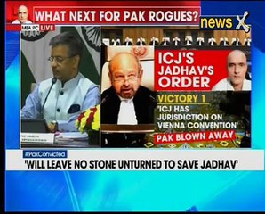 ICJ judgement first step in saving Kulbhushan Jadhav, says MEA spokesperson Gopal Baglay