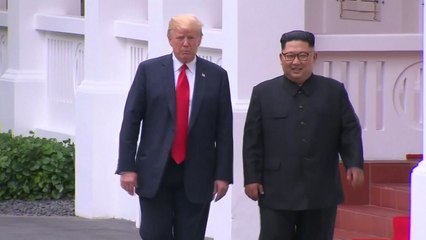 김정은·트럼프, '친교 만찬'으로 공식 일정 시작 / YTN