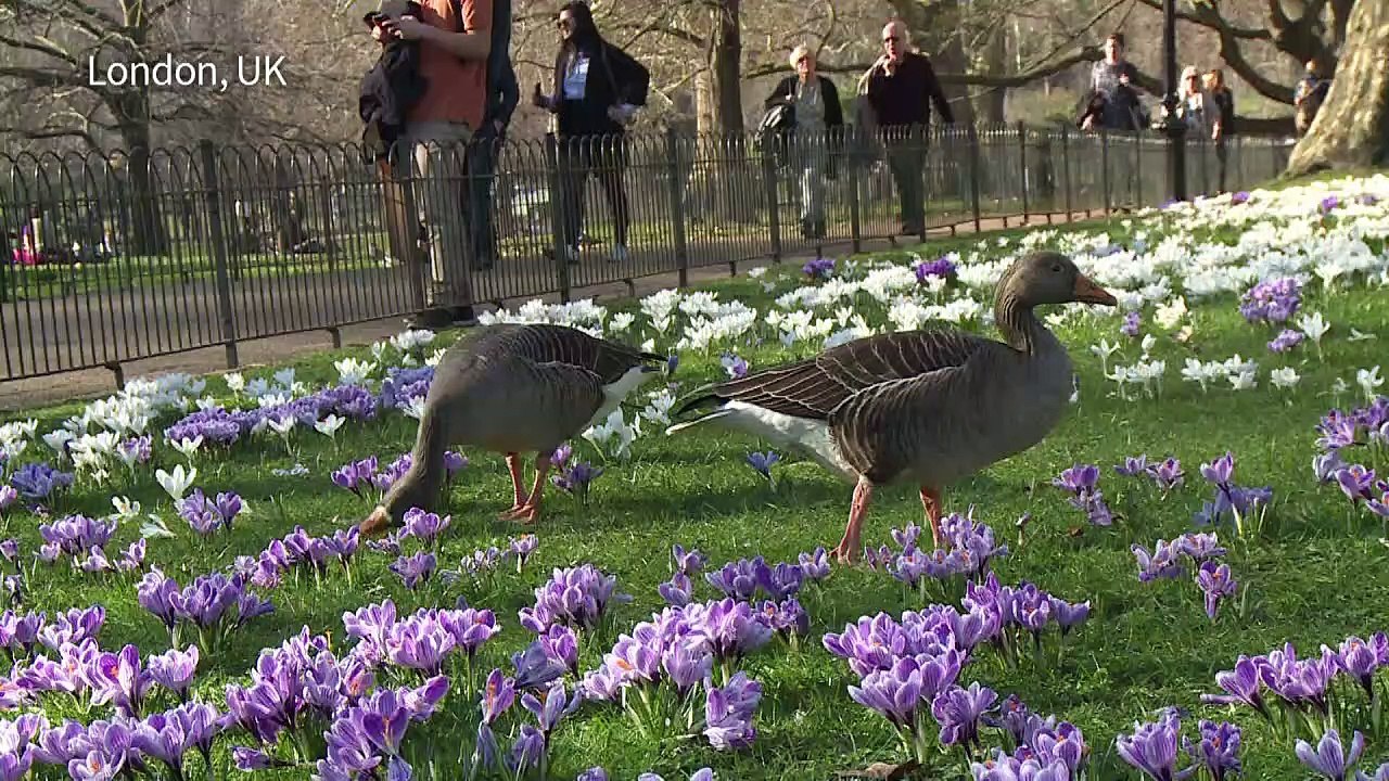 UK basks in record high winter temperatures