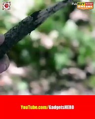 This knife is the size of a coin