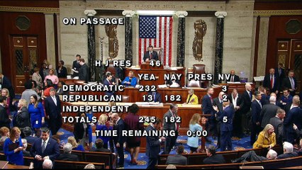 US House votes to block Trump's border emergency declaration