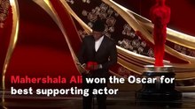 Oscars 2019 - Highlights
