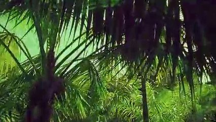 한솔동출장마사지 -후불100%ョØ1Ø-2703-7745【카톡VVV75】→#K# 한솔동출장안마 한솔동출장샵 한솔동오피 한솔동출장전문업소 한솔동출장안마추천 한솔동콜걸 で한솔동출장맛사지