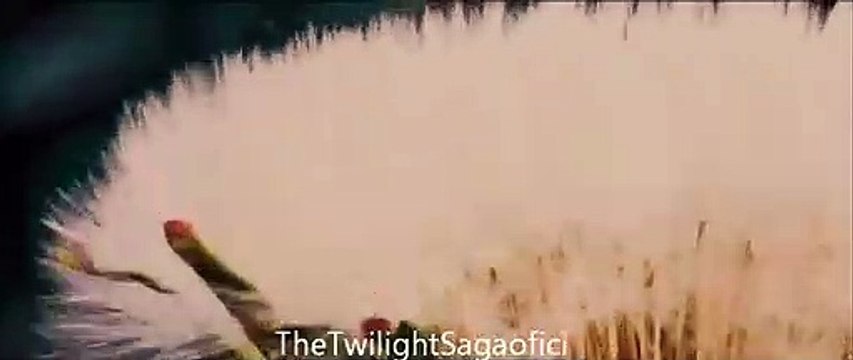 우리카지노주소→不【 DIO36.COM 】不←우리카지노주소