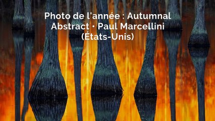 Les plus belles photos de paysage