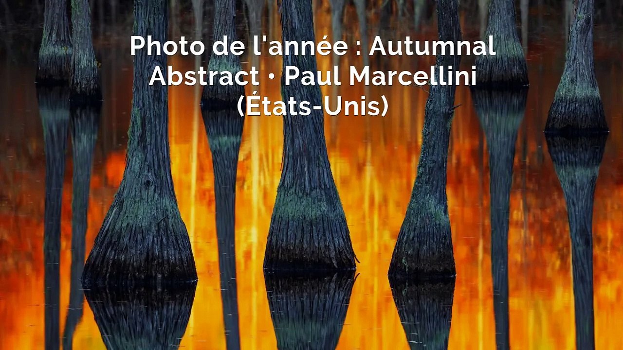 Les plus belles photos de paysage