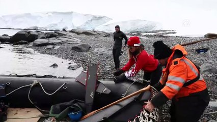 Milli sporcu Şahika Ercümen'den 'beyaz kıta'da anlamlı dalış - ANTARKTİKA