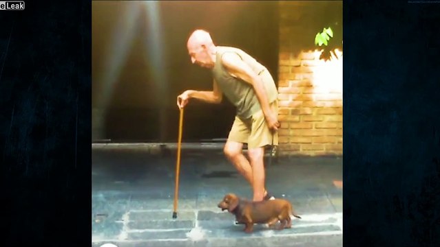 Ce vieux promène son chien tellement lentement... Le chien s'ennuie !