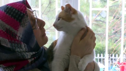 Doğumunu yaptırdığı kedi ile yavrularını sahiplendi - ANKARA