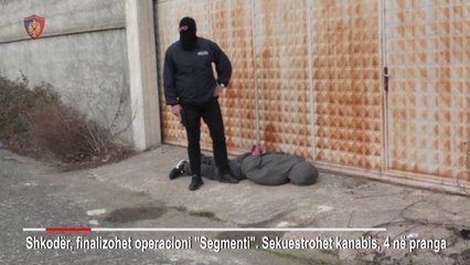 Ora News - Shkodër, 4 persona kapen me 100 kg marijuanë në makinë