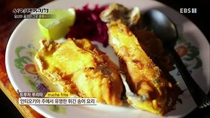 세계테마기행 - 당신이 꿈꾸는 그 곳 콜롬비아 3부- 안데스의 푸른 망토 괌비아노_#003