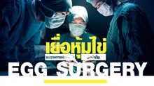 ไม่ใช่หาดูได้ตามปกติ !! ชมภาพการผ่าตัด-เย็บ เยื่อหุ้มไข่ อันน่าทึ่ง ของศัลยแพทย์จีน