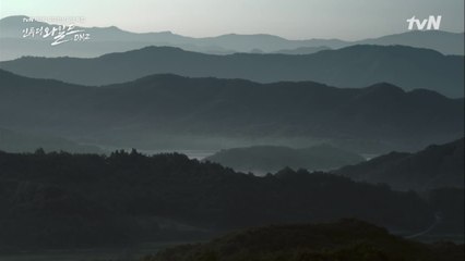 인간에게 훼손되지 않은 마지막 생태계, DMZ