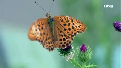 부천시출장안마 -신용100%ョØ1Øa9528g0391｛카톡KM800｝부천시전지역출장마사지부천시출장oa안마부천시출장마사지'미인ぬね미인아가씨출장오피