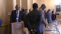 TBMM Başkanı Şentop, Çad Cumhurbaşkanı Itno ile Görüştü (2)