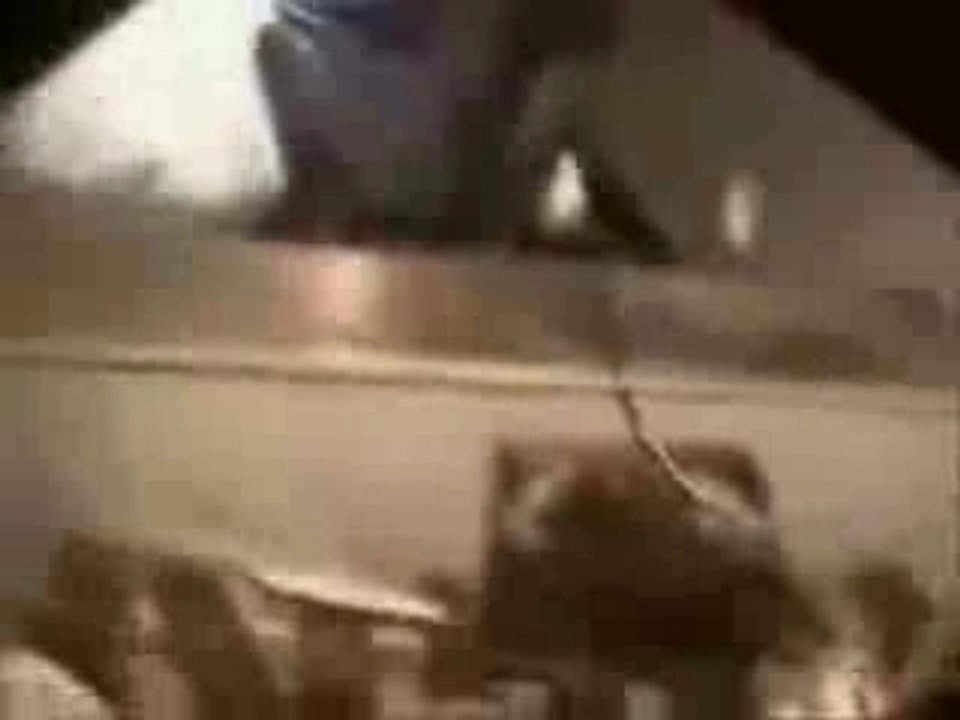 fishing Video 581 (blukorfish.blogspot.com)