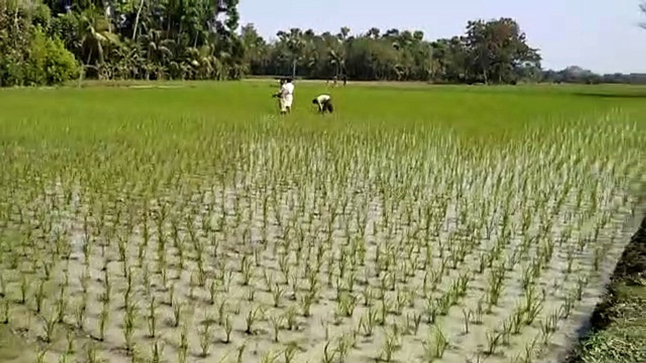 life without farmer impossible