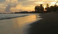 Menikmati Senja Bersama Keluarga di Pantai Pohon Cinta