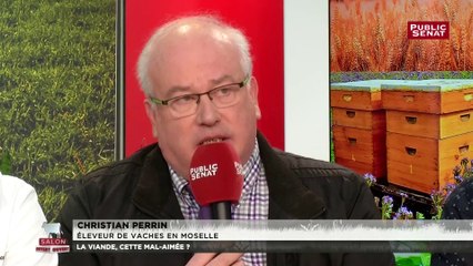 Élevage intensif : « Comment peuvent-ils faire autrement ? »