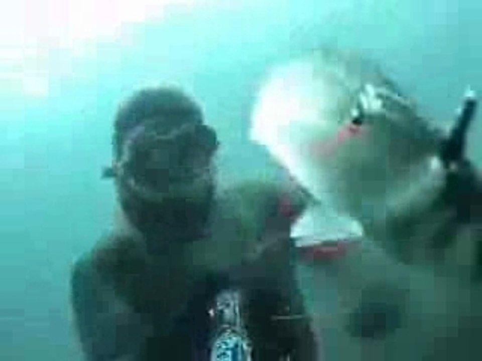 fishing Video 582 (blukorfish.blogspot.com)