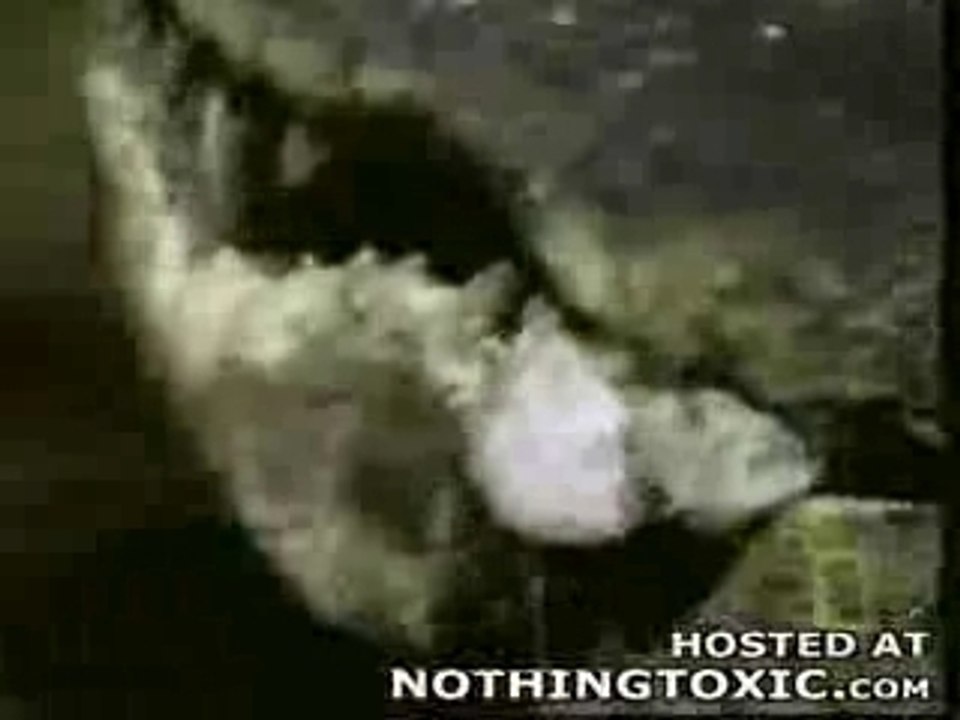 fishing Video 584 (blukorfish.blogspot.com)