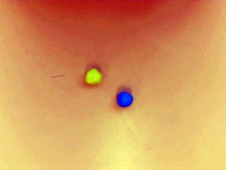 Petit bleu et petit jaune