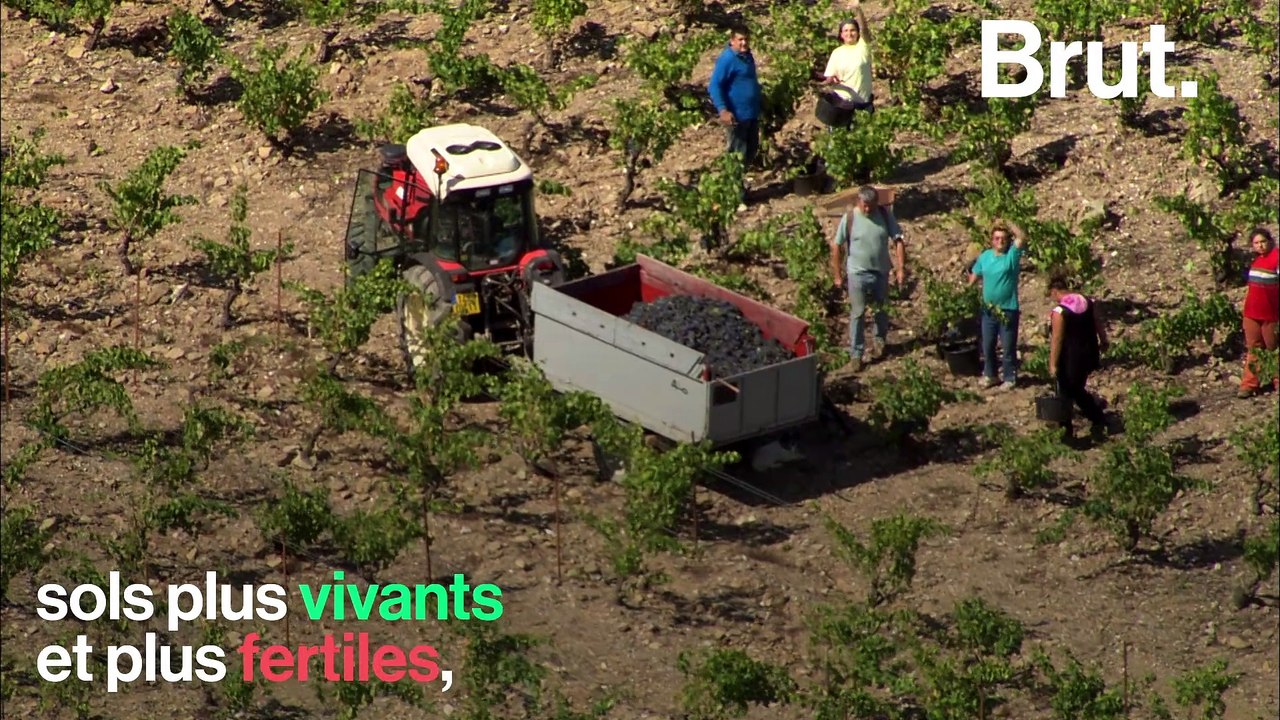 5 bonnes nouvelles pour la planète