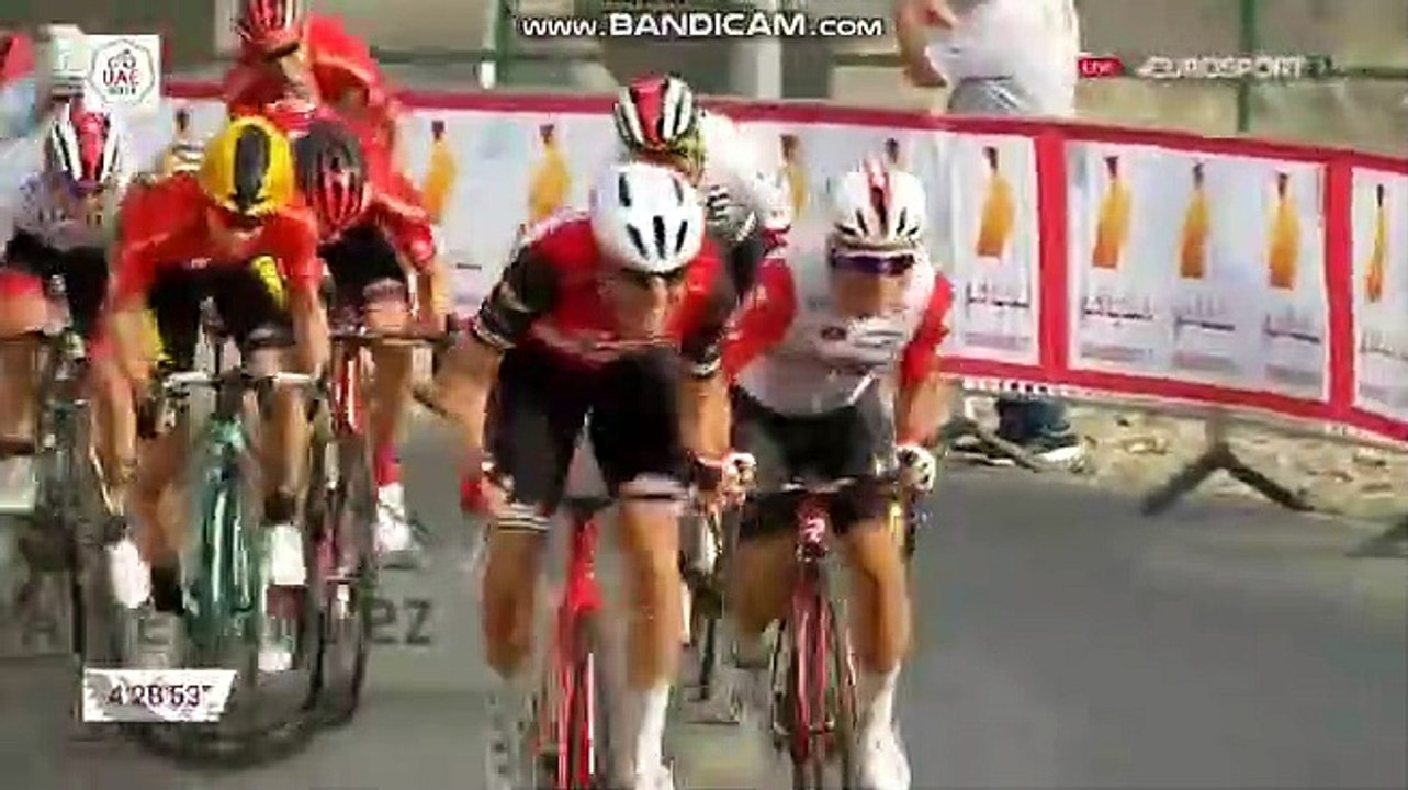 Cyclisme - UAE Tour - La 4e étape pour Caleb Ewan devant Moschetti et Roglic