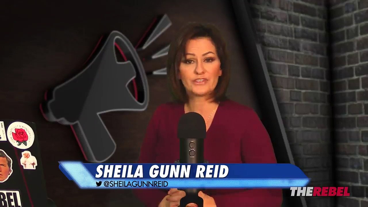 Request for docs on Syrian refugee vetting nets chilling response - Sheila Gunn Reid