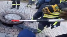 شاهد: رجال أطفاء يهرعون لإنقاذ فأر سمين علق في غطاء فتحة صرف صحي بألمانيا