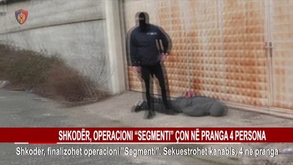 SHKODËR, OPERACIONI “SEGMENTI” ÇON NË PRANGA 4 PERSONA