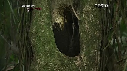 강진출장안마 -신용100%ョØ7Øw4178g3317《카톡DB600》강진전지역출장마사지강진출장oa안마강진출장마사지'미인∧⊙ 24시모텔콜걸출장안마후기