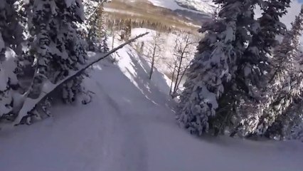 Les images impressionnantes d’un skieur emporté par une avalanche