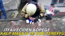 رجل إطفاء تركي يجري تنفساً اصطناعياً لـ كلب بهدف إنقاذه