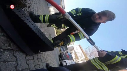 Topo troppo ciccione: incastrato nel tombino e salvato dai vigili del fuoco | Notizie.it