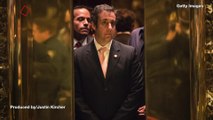 Michael Cohen: Trump Knew About WikiLeaks, Reimbursed Hush Payments While President