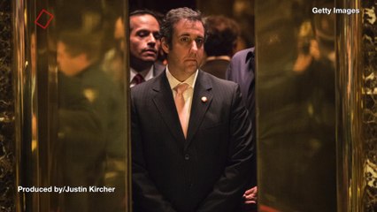 Michael Cohen: Trump Knew About WikiLeaks, Reimbursed Hush Payments While President
