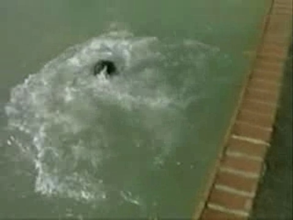 Water Jump Reims 1999