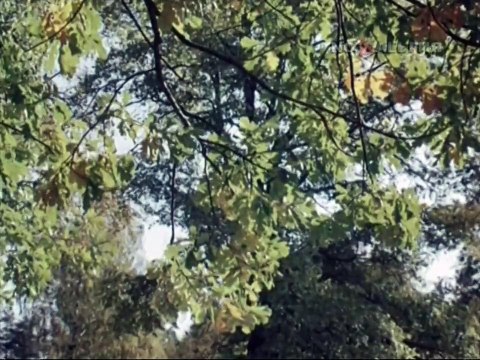 Хочу всё знать. Выпуск 149