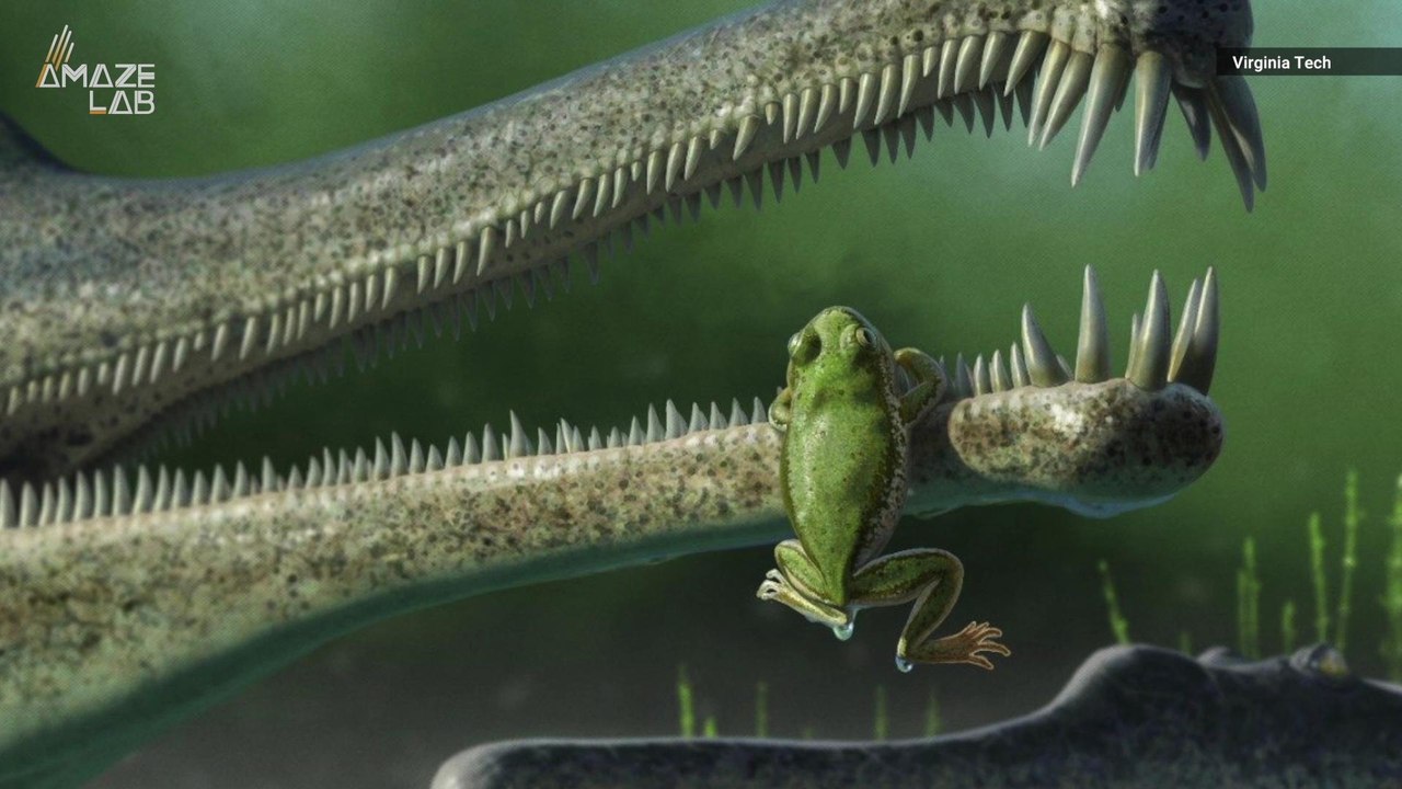 These Tiny Fossils Are the Oldest Evidence of Frog Ancestors Discovered in North America