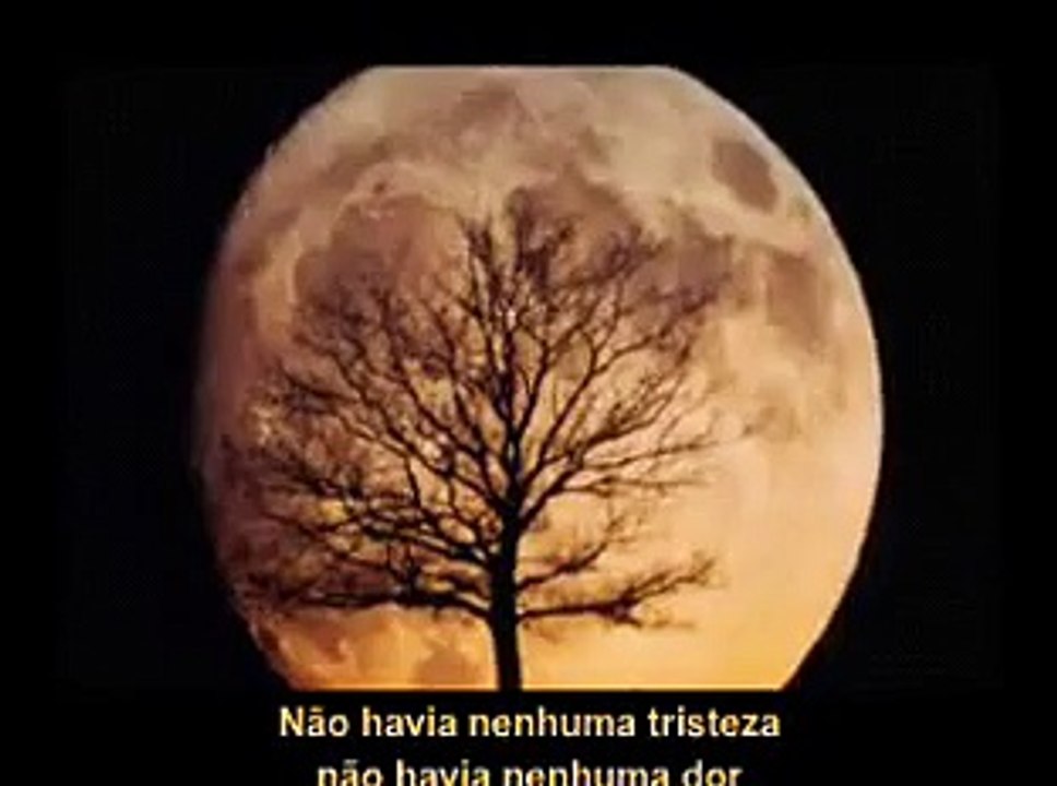 Forever Stratovarius