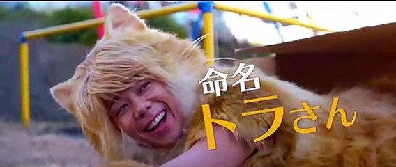 映画『トラさん～僕が猫になったワケ～』予告編2