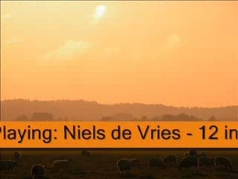 Dance Mix 21 (The Orange bar sucks 12 inch)