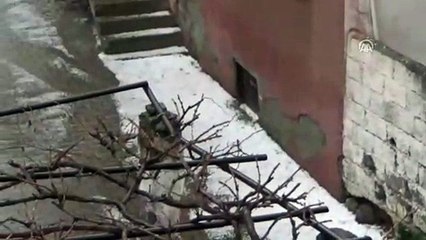 Hatay'da dolu hasara yol açtı