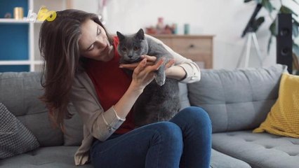 Your Personality Traits Could Be Passed Down yo Your Cat