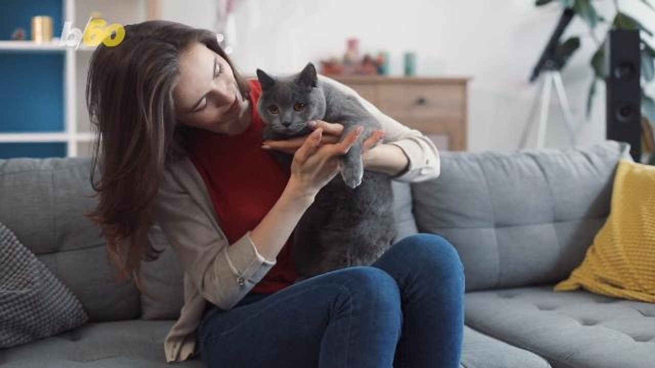 Your Personality Traits Could Be Passed Down yo Your Cat