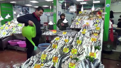 Balık Alım Fiyatları Arttı, Satışlar Aynı