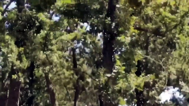 Tentando Responder Suas Duvidas